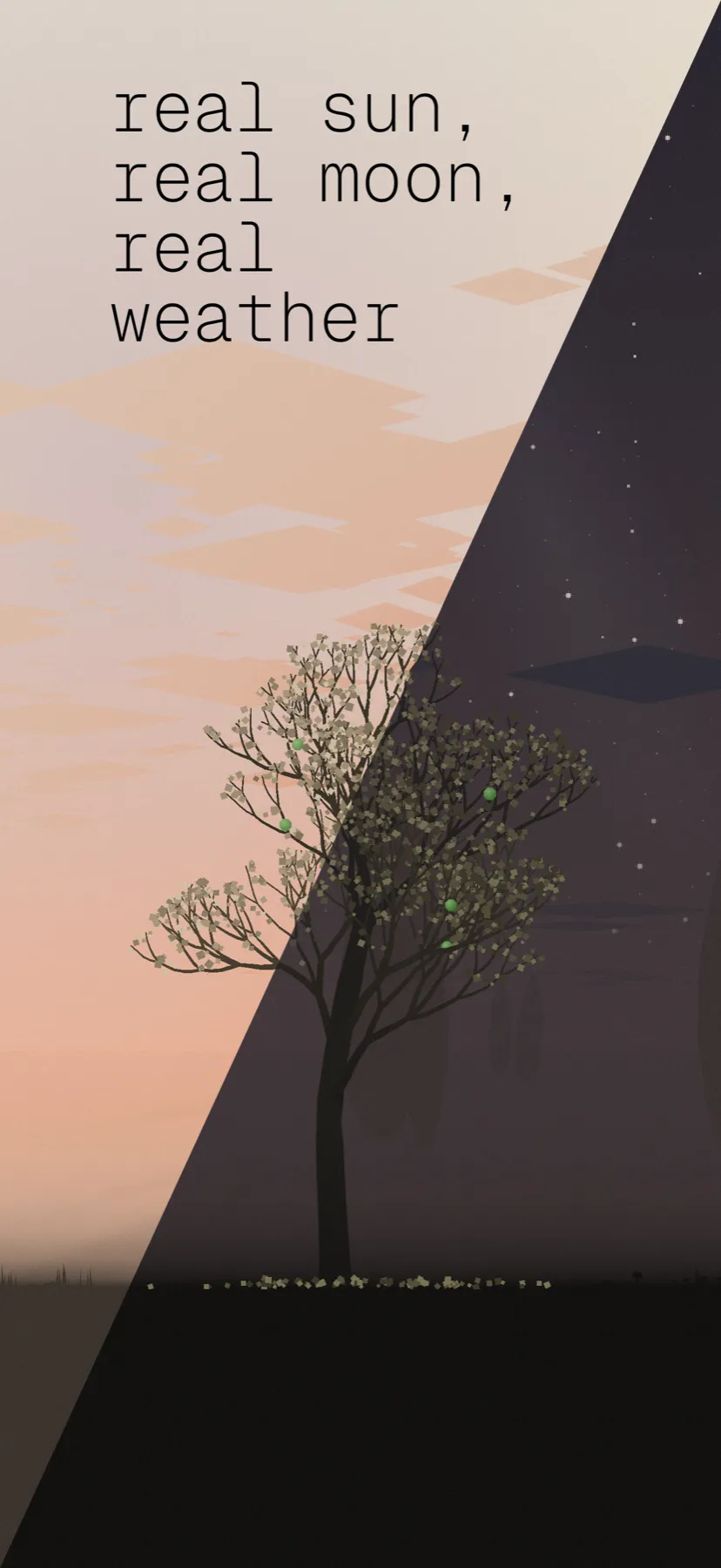 Store screen: “real sun, real moon, real weather”, the tree at dusk and at night